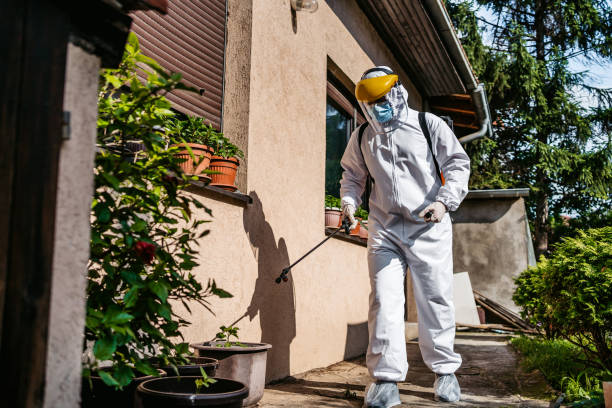 Best Wasp Removal Services  in Luverne, MN