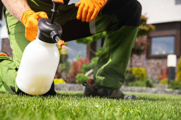 Best Wildlife Control Services  in Luverne, MN