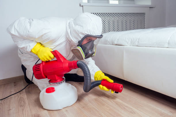 Best Local Pest Control Services  in Luverne, MN